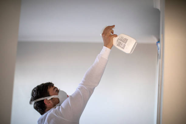 Best Localized Mold Remediation (e.g., coastal areas, humid climates) in Labelle, FL